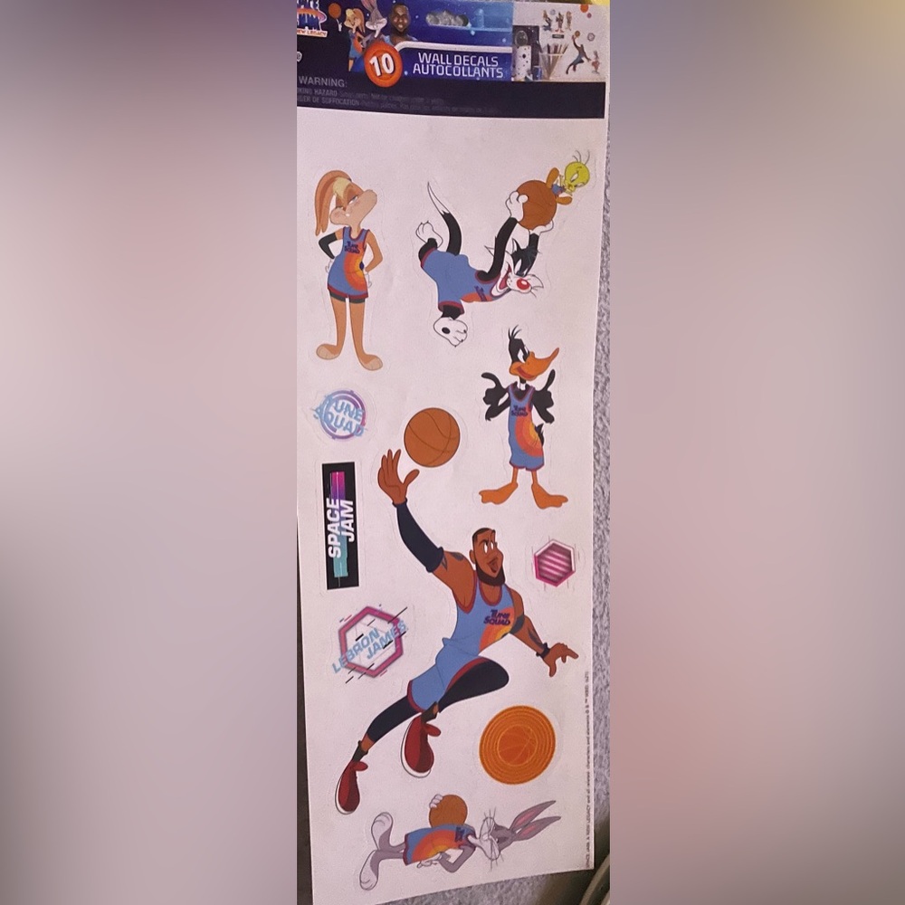 Space Jam Character Wall Decal